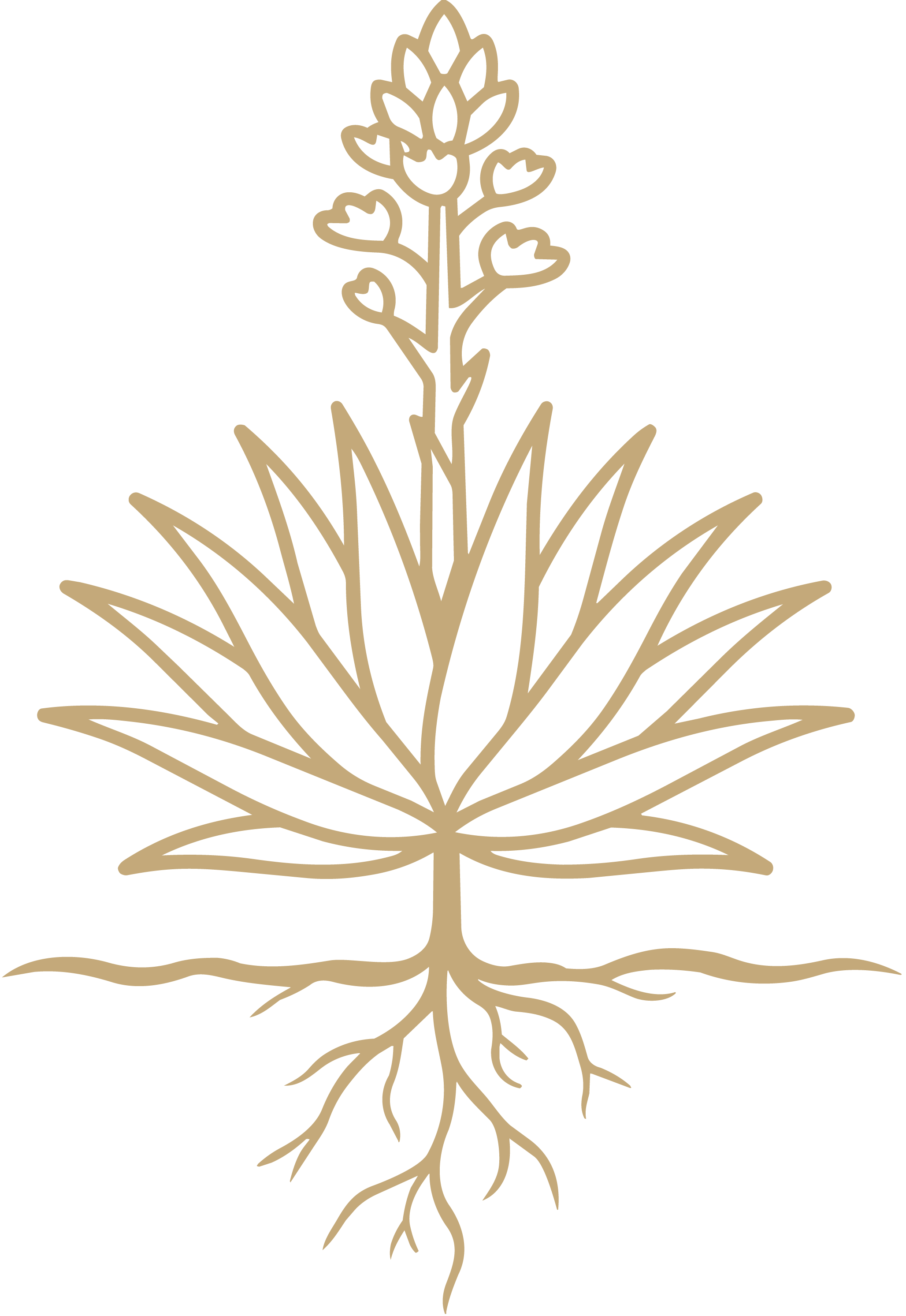 Agavara creative brand studio and marketing agency in South Metro Denver.