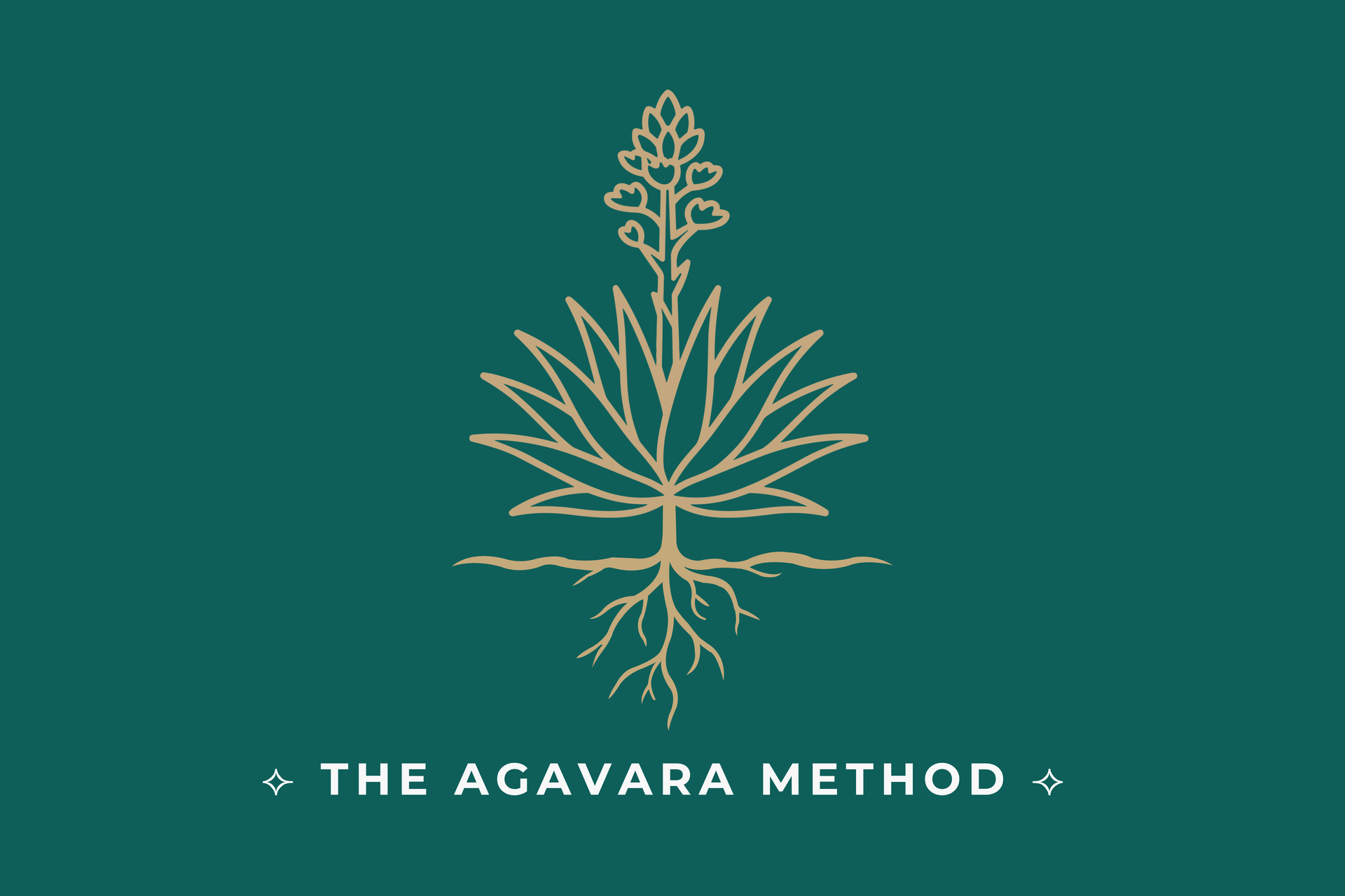 The Agavara Method for small businesses covering 15 brand touchpoints.